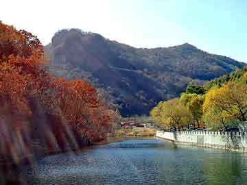 新澳天天开奖资料大全旅游团，浪子天涯